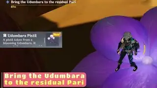 Bring the Udumbara to the Residual Pari | Genshin Impact