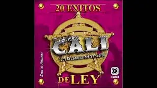 SI TÚ TE VAS - TIERRA CALI