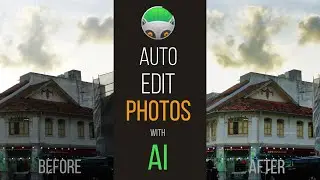 Photo Lemur 3.Automatic Photo Editor with AI. Does it Work?