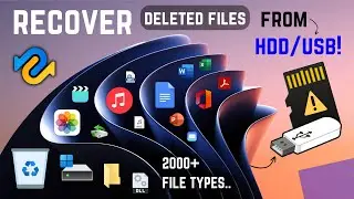 Tenorshare 4DDiG - Best Free Data Recovery Software for PC (2024)