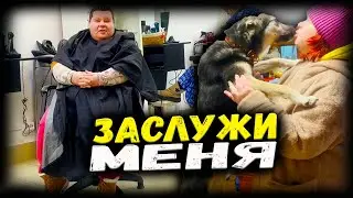 Катя хочет свадьбу. Люба приехала домой. Заслужи меня. Катя делает прическу.