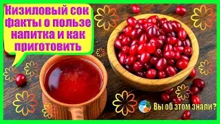 Кизиловый сок — факты о пользе напитка и как приготовить