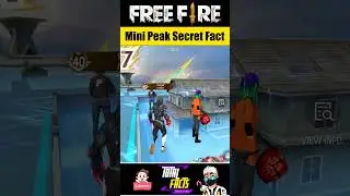 No Door 🚪 or Window 🪟 Opened to Enter into Mini Peak's Houses 🏠 Free Fire