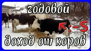 реальный заработок 💰 на коровах//выгодно ли сдавать молоко 🍶на молоковоз.