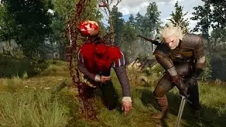 The Witcher 3 Wild Hunt добивания [GTX 750 Ti, Intel Q9550] combo