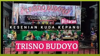 Jaranan Blitaran Trisno Budoyo Besole Darungan Blitar