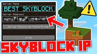 Best Minecraft SkyBlock server to Join in 2024 (1.21)