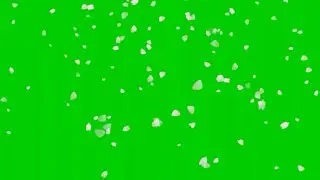 Green screen flower animation HD fx effect with sound #5. Flowers petals falling Green screen.