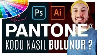 How to Find Pantone Color Code? Adobe Illustrator and Photoshop