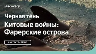 Черная тень | Китовые войны: Фарерские острова | Discovery