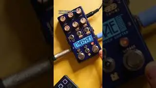 Chase Bliss Audio Thermae CRASH COURSE in under 2 mins