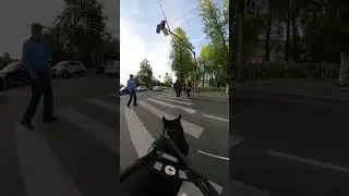 Спокойствие, только спокойствие: и такое бывает на нашем пути 🦮 #незрячий #собакапроводник