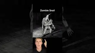 Zombie Snail Explained from Content Warning