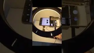 Кольцевая лампа LED Ring Light 26 см с штативом и креплением для телефона , 3 режима свечения