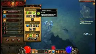 Diablo 3. Witch Doctor