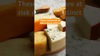 These cheeses are at risk of going extinct #shorts #cheese