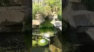 Замедление воды