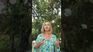 💖💖 Библия на каждый день 