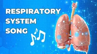 The Respiratory System Song - Fun Biology Music