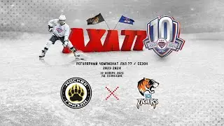 Grizzly team - ЖХК Ice Tigers