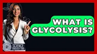 What Is Glycolysis? - Science Through Time