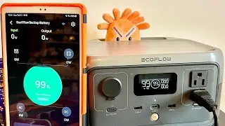 Review: EcoFlow River 2 Power Station For Reef Tank Battery Backup