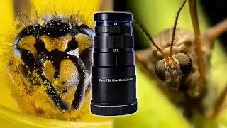 Laowa 25mm F2.8 2.5-5X Lens Review - ULTRA MACRO PHOTOGRAPHY!