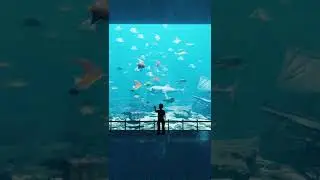 Would you visit the nightmare aquarium? 🐡 