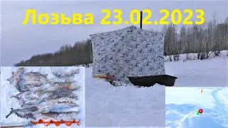 ПРАЗДНИЧНАЯ РЫБАЛКА НА РЕКЕ ЛОЗЬВА, ОТЛИЧНО ПОРЫБАЧИЛИ НА 23 ФЕВРАЛЯ, ДВОЕ СУТОК НА РЕКЕ