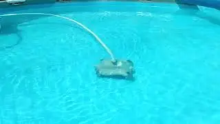 Покраска каркасного бассейна изнутри: 3-й год!