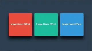 CSS 3D Flipping Card Hover Effect | HTML5 & CSS3 Tutorial | 
