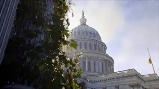 The Division 2 | The Capitol Building | Exploring Washington, D.C.