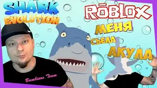 СИМУЛЯТОР АКУЛЫ В ROBLOX! Акула СЪЕЛА МЕНЯ! ЭВОЛЮЦИЯ АКУЛЫ | shark evolution roblox