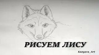 Как нарисовать лису поэтапно / How to draw face fox Рисунки карандашом #3