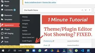 Fix - Theme Editor Not Showing in WordPress | Plugin Editor Not Showing in Website Website Solution