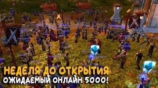 The Burning Crusade от WoW Circle. Обзор нового сервера World of Warcraft