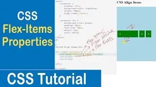 #55 CSS Flex Items Properties| Order| Flex-Grow| Flex-Shrink | Flex-Basis | Align-Self |CSS Tutorial