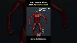 Size of the Titans from Attack on Titan🤯💀