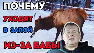 СВЯЗАЛСЯ С БАБОЙ | УШЁЛ В ЗАПОЙ