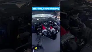 Красавец Maserati