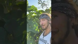 А есть вообще место, куда она не сможет залезть???