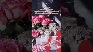 Доброе утро,хорошего дня открытки на каждый день #открытка #доброеутро #видеооткрытка #доброеутречко