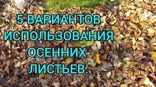 Листовая земля Листовой компост🍁Из опавших листьев! 