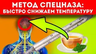 Методы спецназа: сбиваем температуру без лекарств и таблеток!