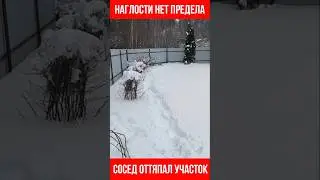 Что бы вы сделали в такой ситуации?
