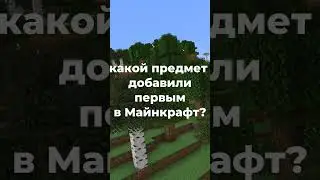 этот предмет был первым #майнкрафт