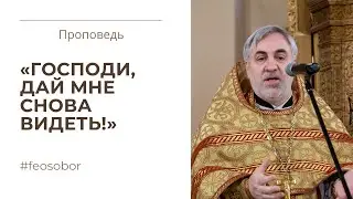 Исцеление слепого. Проповедь иерея Владимира Коваль-Зайцева