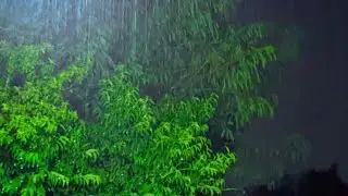 RELAXING NIGHT RAIN SOUNDS FOR STUDY & SLEEP