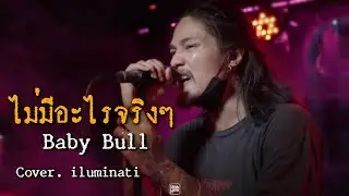 ไม่มีอะไรจริงๆ : Baby Bull  // iluminati COVER 