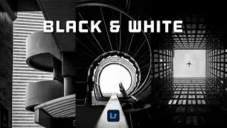 Black & White Preset - Free Lightroom Mobile Preset (DNG)